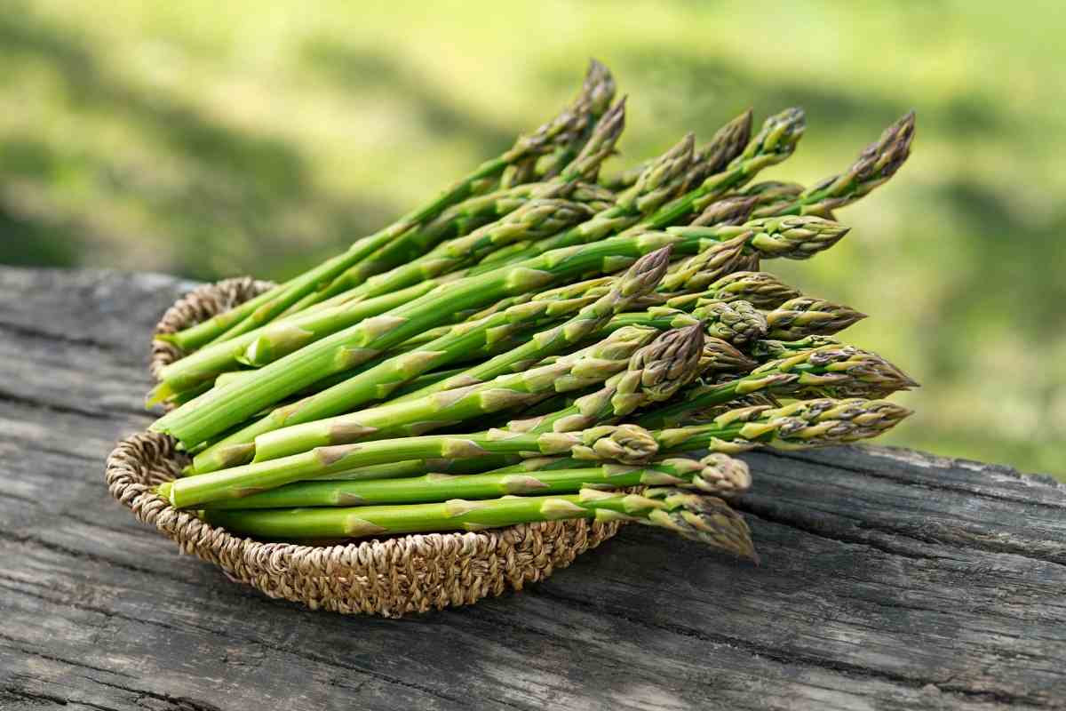Best Substitutes For Asparagus