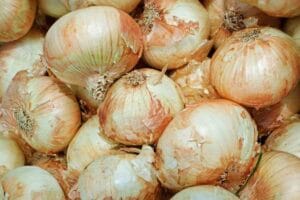 Vidalia Onions Substitute