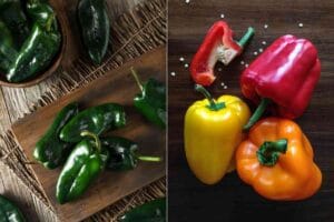 Poblano Vs Bell Pepper