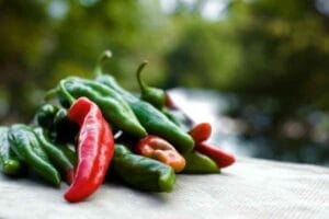 Anaheim Pepper Substitutes
