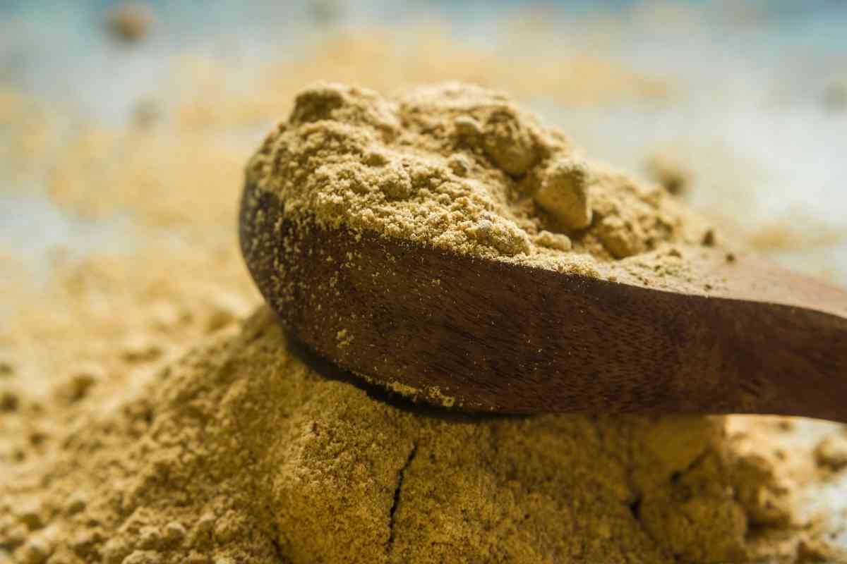 Mango Powder Substitutes
